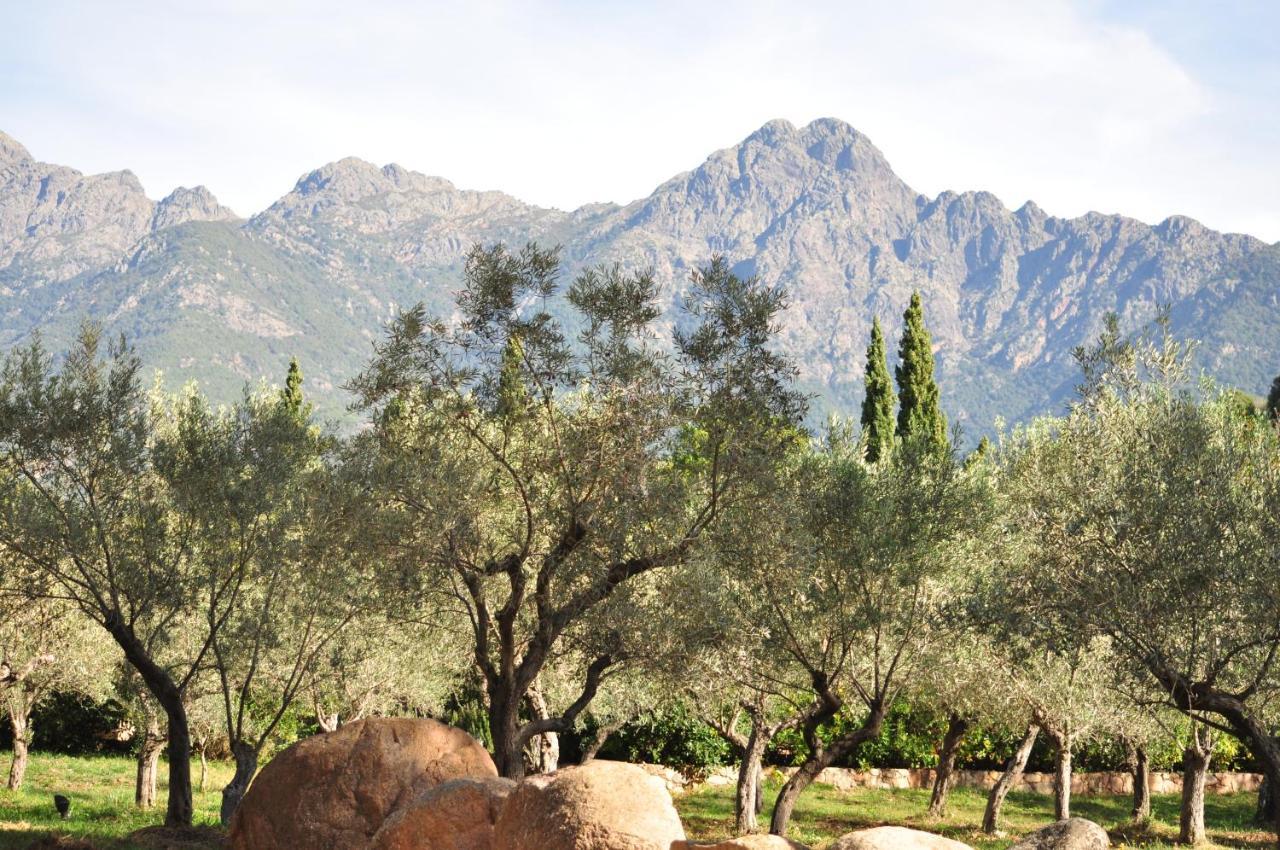 Domaine Codaleone Serriera  Ngoại thất bức ảnh