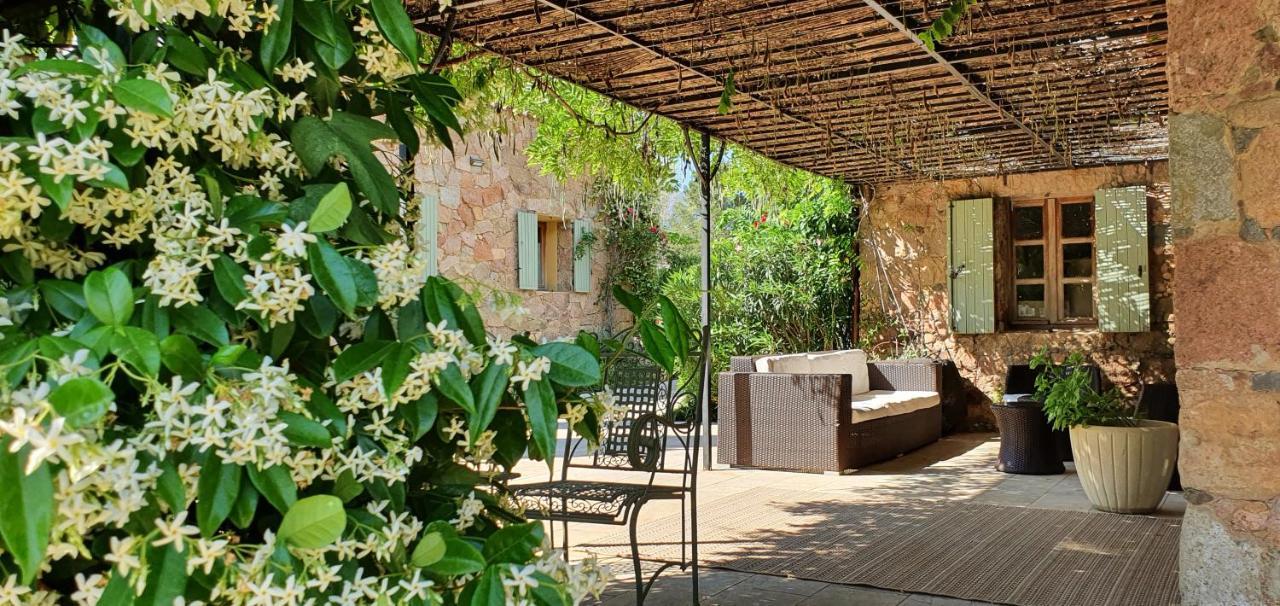 Domaine Codaleone Serriera  Ngoại thất bức ảnh